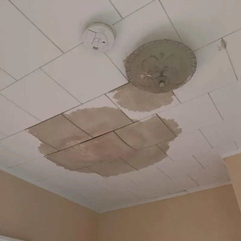 Ceiling Water Damage Repair in National Harbor, MD