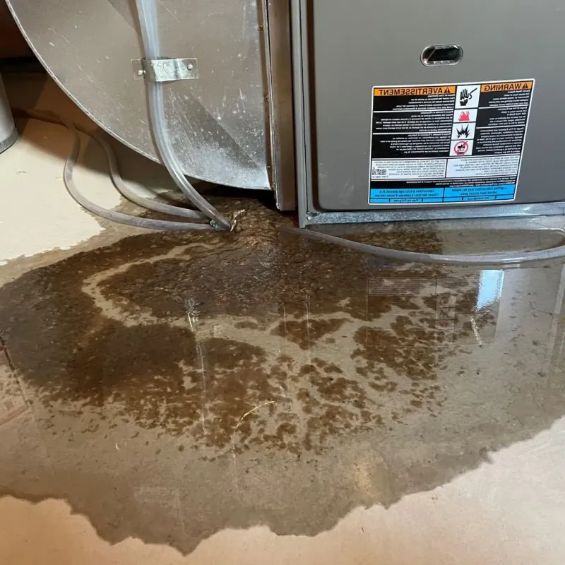 Pipe Burst and Leak Restoration in National Harbor, MD